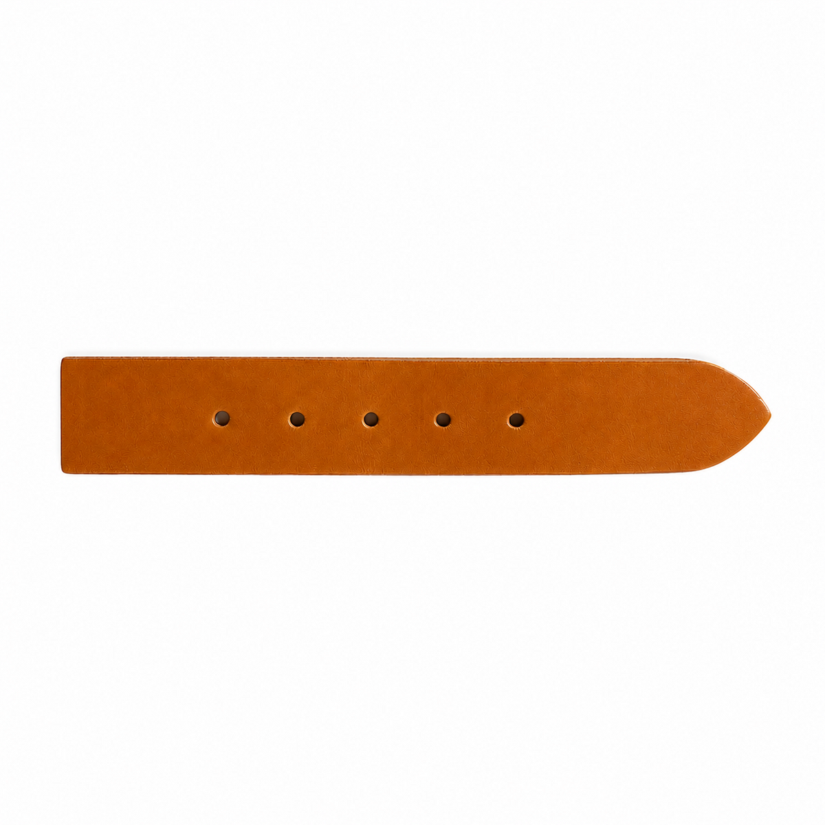 Everyday Midcoast Belt