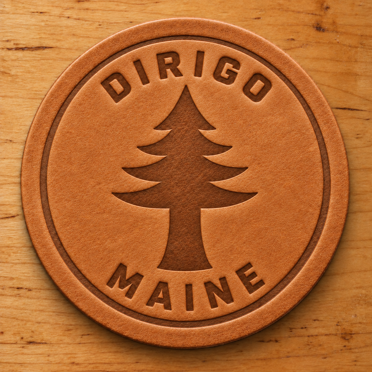 Dirigo Coaster